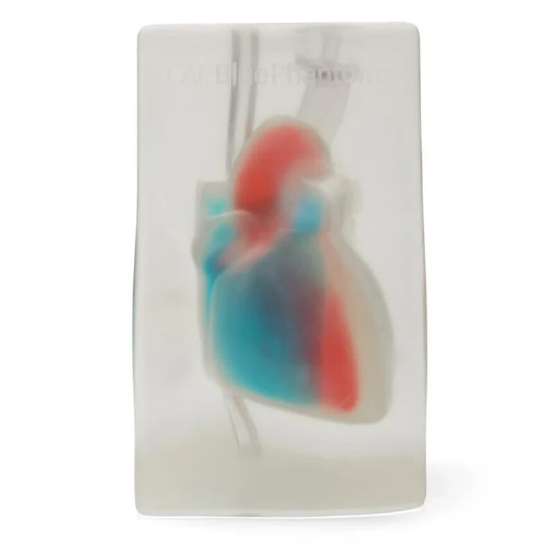 Cardiac Echo Ultrasound Training Model