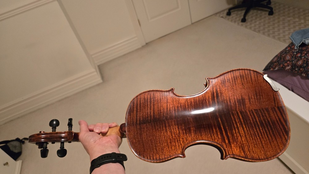 Violin Mysmilion 3/4 beautiful flames