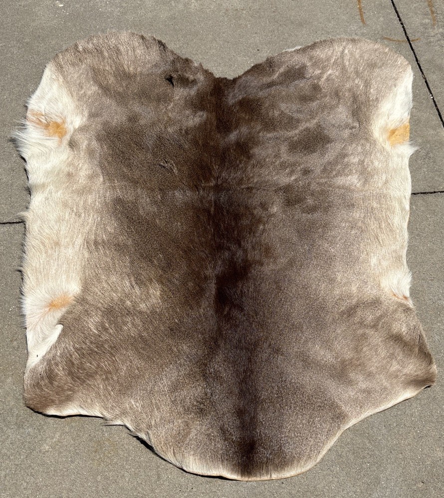 REINDEER Pelt