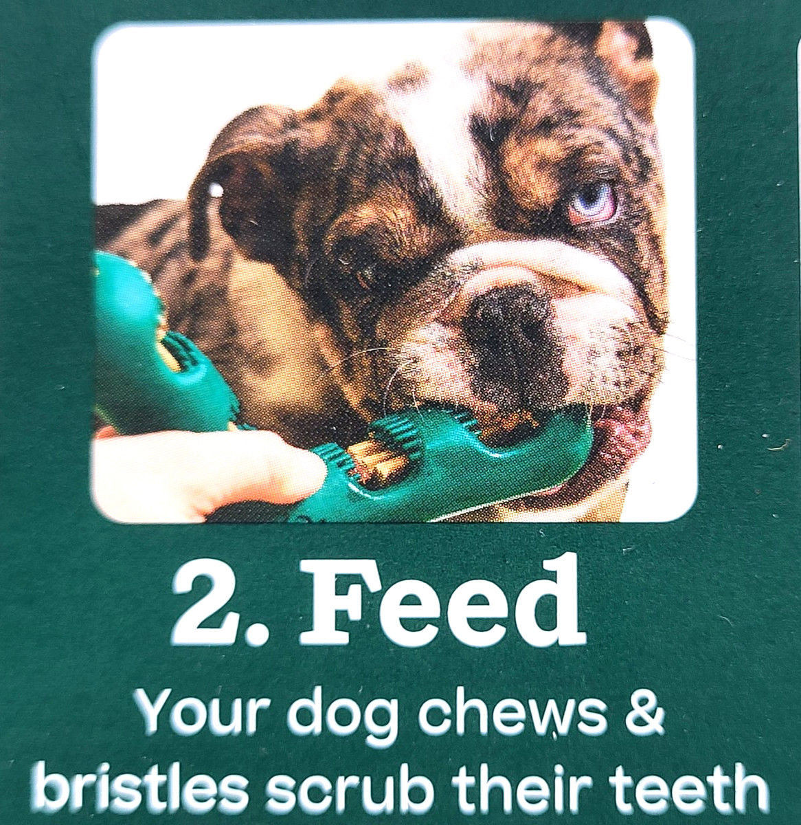 Woof Bite n' Brush Small Treat Holder Toothbrush Tough Non Toxic For Dogs 7"