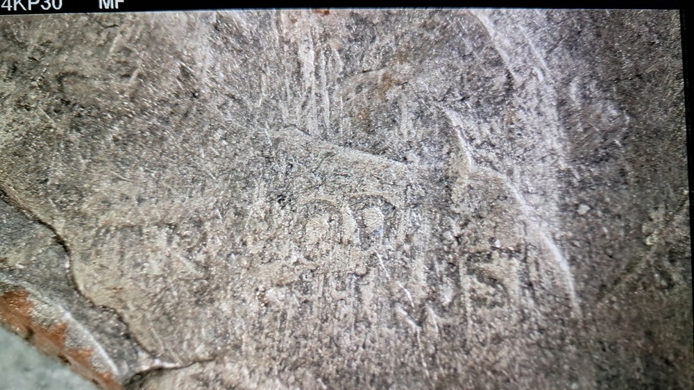 STRIKE ERROR? EXTRA WEIGHT?WEAK FEATURES? ALL MINT ERRORS? 2011 D US DIME #603