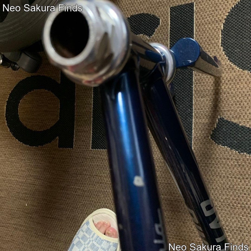 RINSEI LAB piste frame navy フレーム piste LAB RINSEI navy