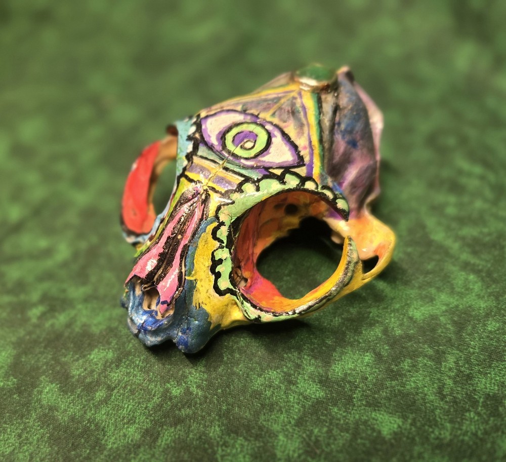 Hand Painted Genuine Cat Skull