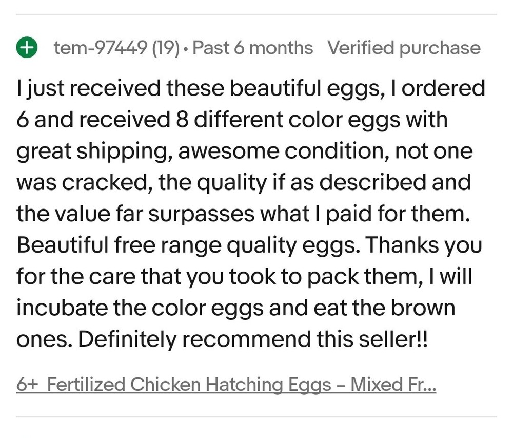 6+ Silkie Fertilized Eggs