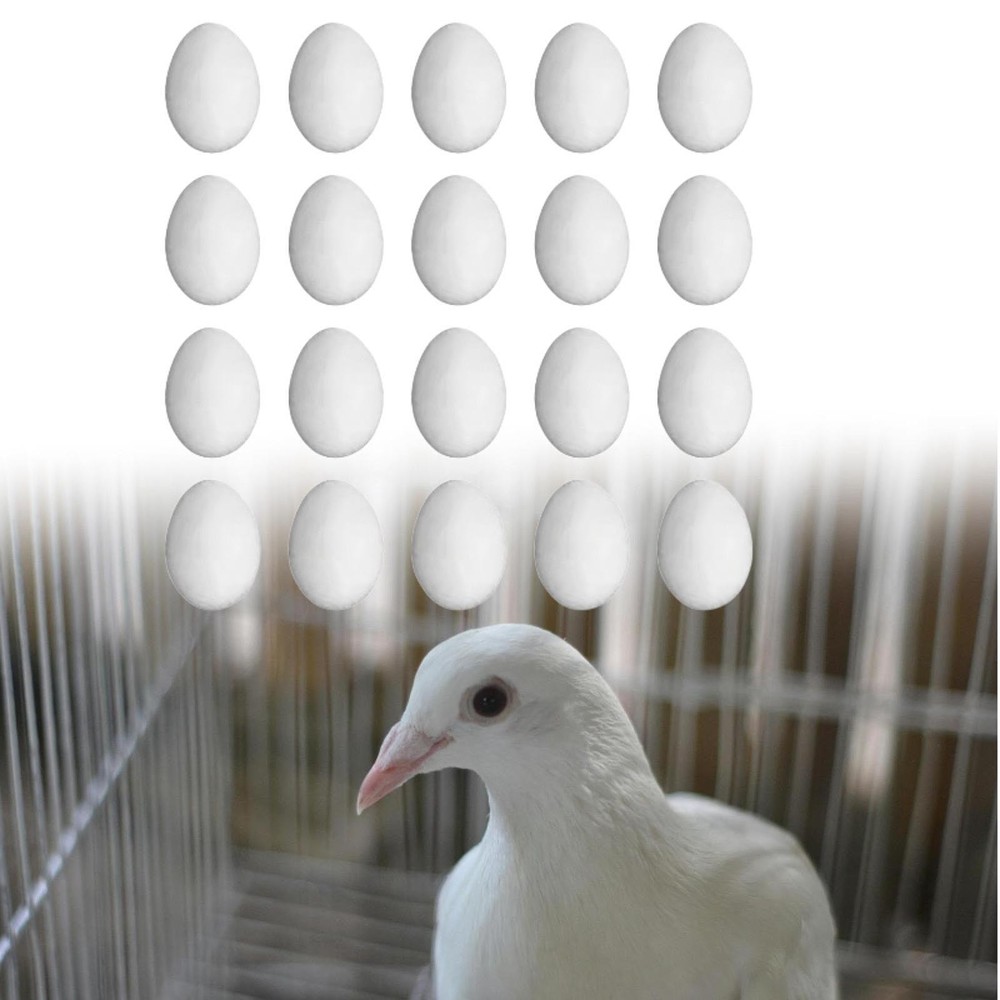20Pcs Solid Simulation Pigeon Eggs Help Laying Doves and Lay Dove False Egg