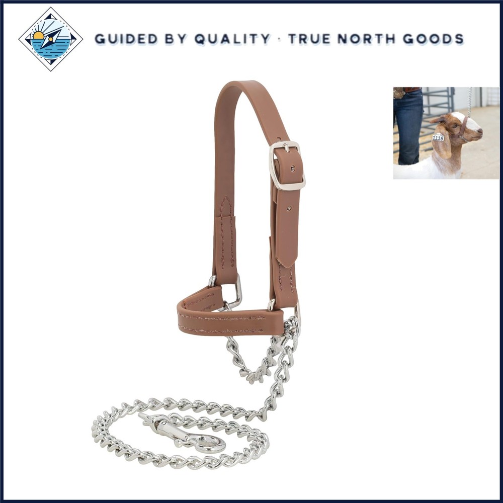 Adjustable Goat Halter with Solid Chain Lead for Better Control and Durability