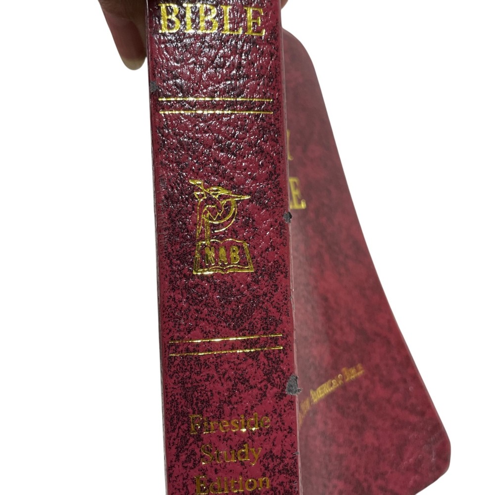 Bible Fireside Study Edition (some markings) Leather bound