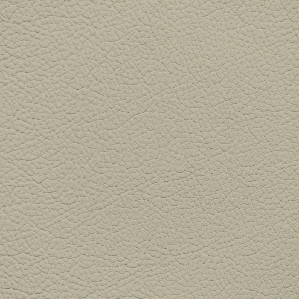 GM Light Linen Leather Dye