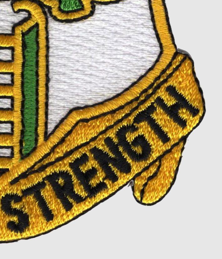6th Infantry Regiment Patch Unity Is Strength