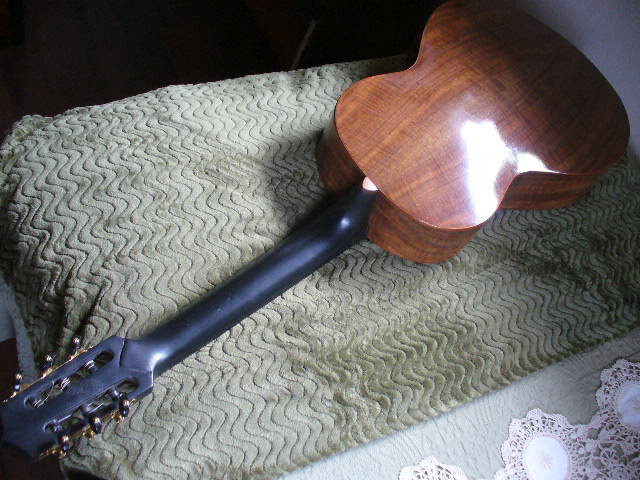 Classical Guitar, R.G. Noyes