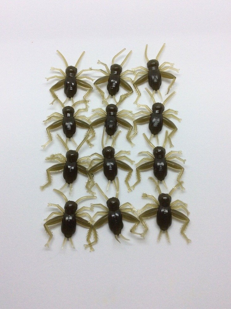 Cricket Lures, 1" Green Pumpkin, Solid Head / Body Only, 12/Pk