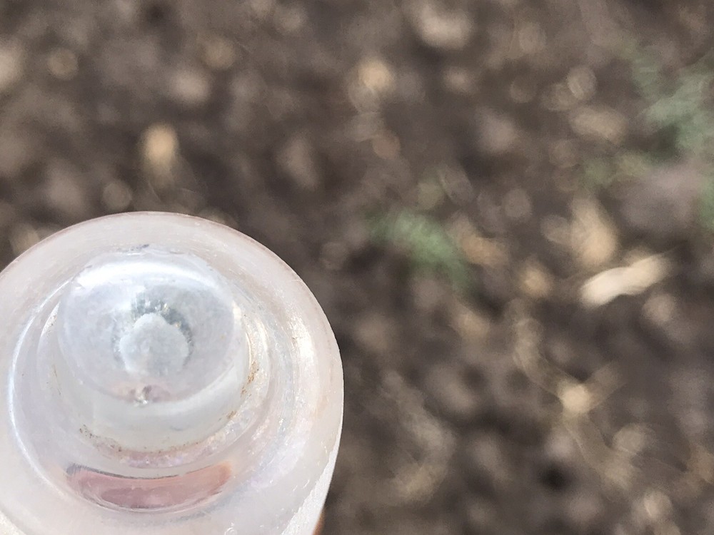 Antique Roller from glass 1800-1900s