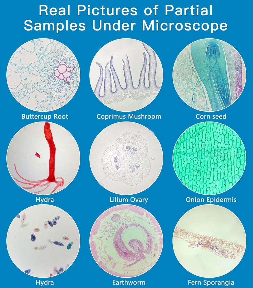 Microscope Slides with Specimens 60 Lab-Grade Prepared Animal/Plant/Microbe/Tiss