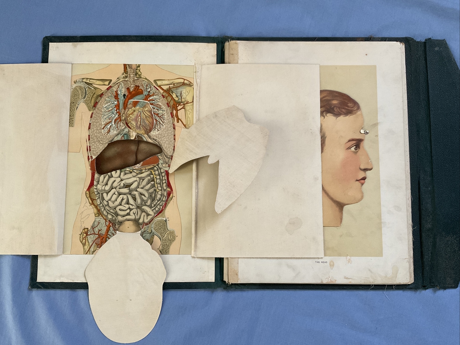 Antique Medical Anatomy Book Embalmer Anatomy Book Binder 1903