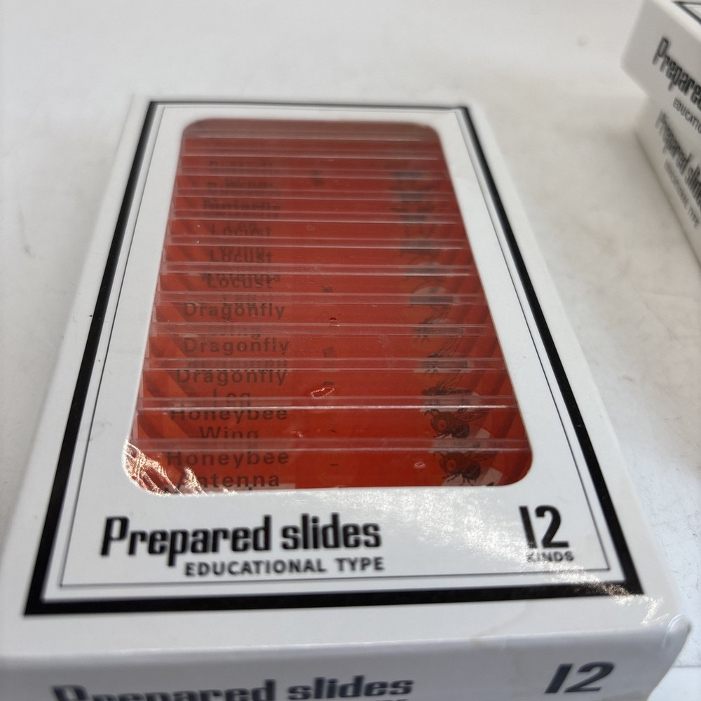 36 Prepared Plastic Microscope Slides with Specimens for Kids Microscope Sample