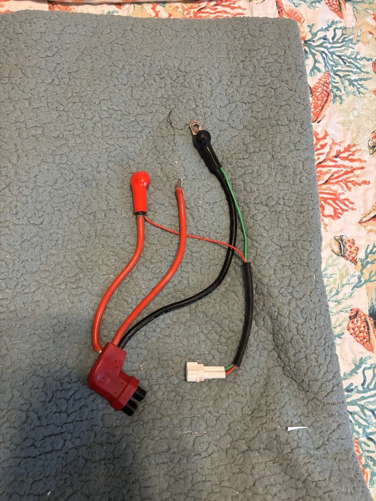 Wiring Harness for e ride 2.0