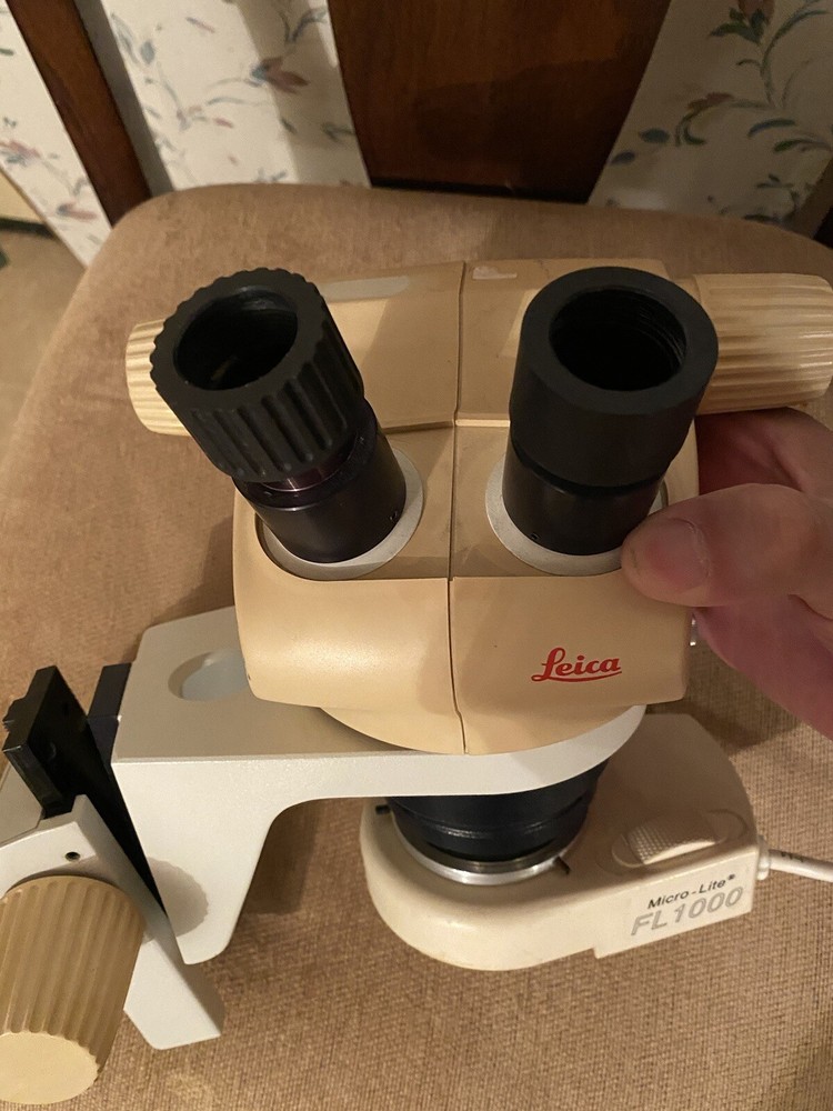 Leica GZ4 with Microlite