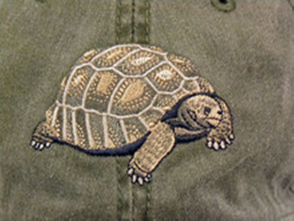 Tortoise Embroidered Cotton Cap NEW