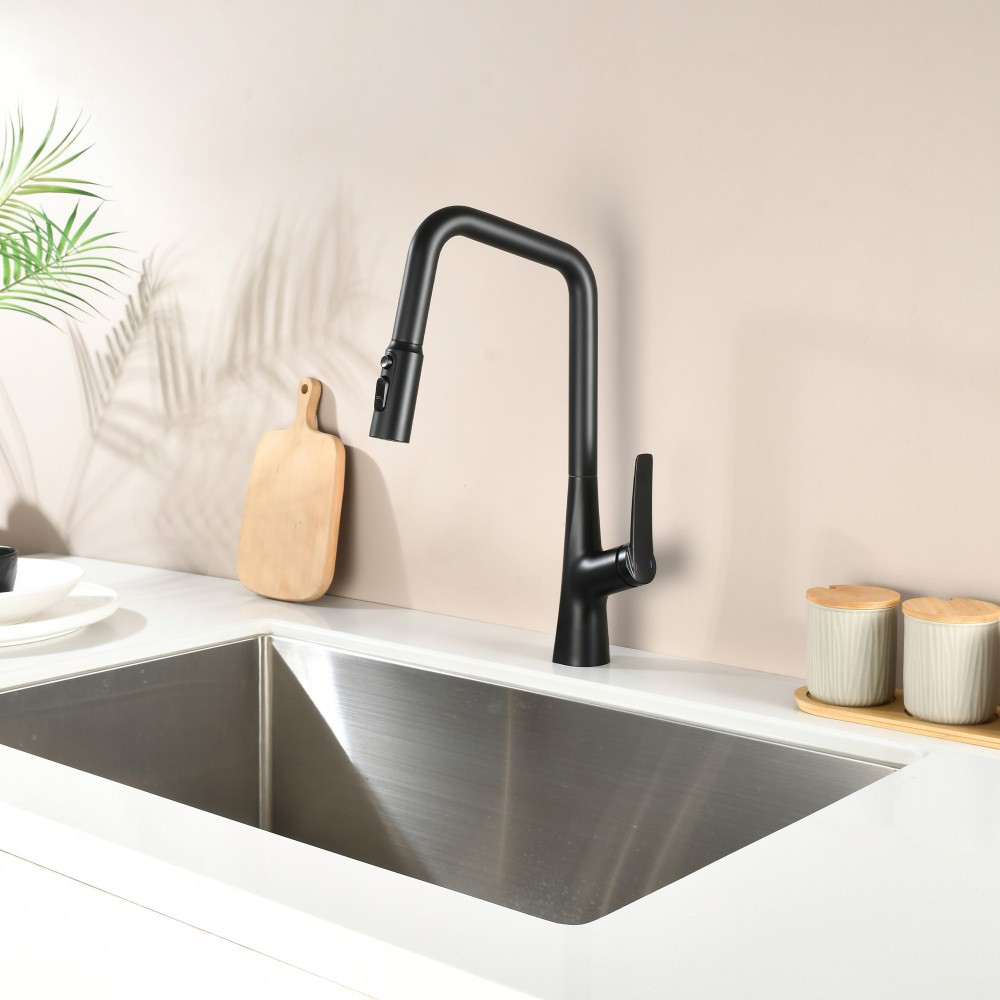 Professional 3 Function Kitchen Faucet Matte Black 360° Sprayer