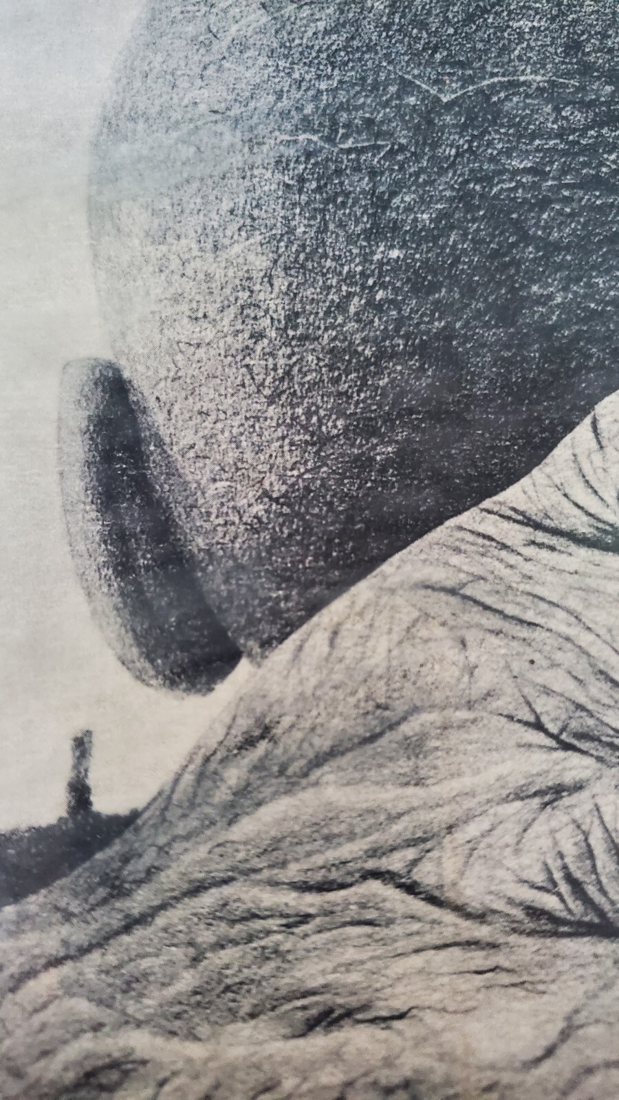 VTG Charles Wilbert White A Reflection of The Time Lithograph Framed 17x11 RARE