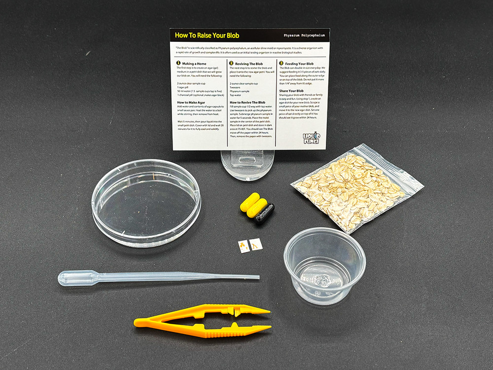 Slime Mold Educational Science Kit, Physarum polycephalum Study Project