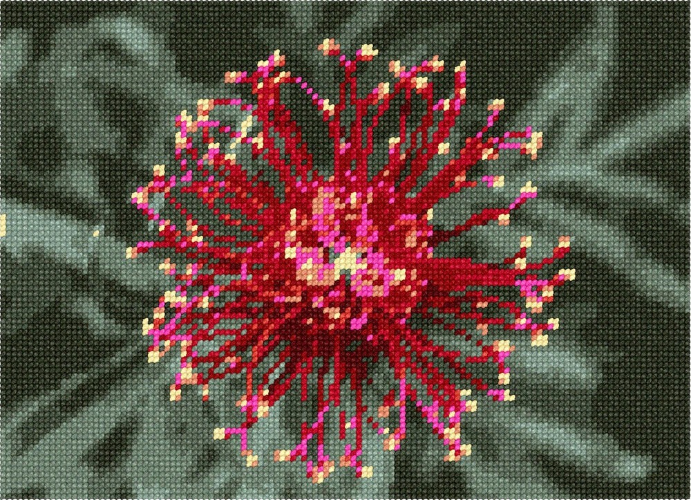 Grevillea Needlepoint Kit or Canvas