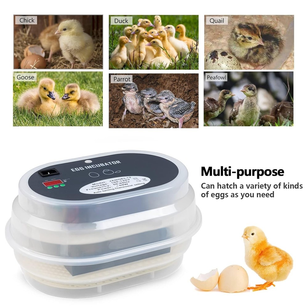 Fully Automatic Egg Incubator with Temperature Display for Poultry Hatching