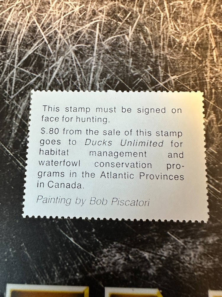 1988 Massachusetts State Duck Stamp,
