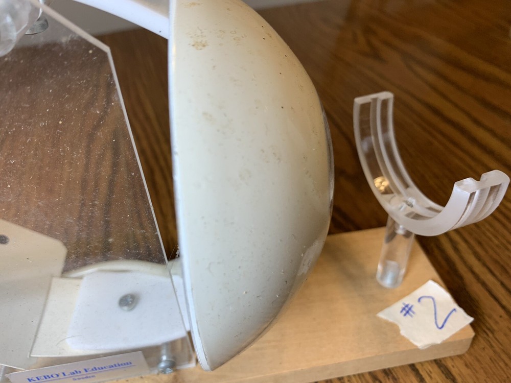 Leno Lab Sweden Functioning Eye Model Optometrist School Educational Tool #2