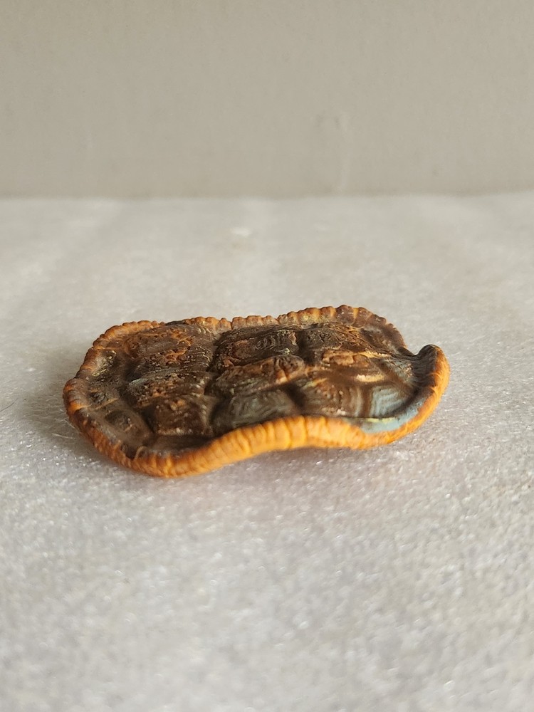 Artificial Rubber Turtle Shell Life-like • 3"×2⅞"
