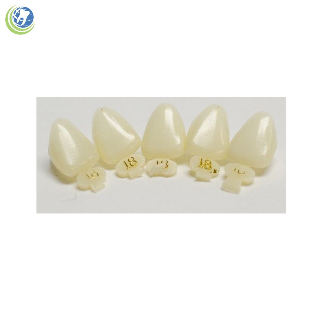 DENTAL POLYCARBONATE TEMPORARY CROWNS #18 (ULC) UPPER LEFT CENTRAL 5/PACK