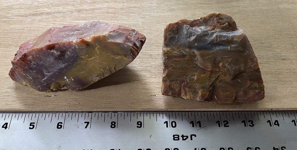 Petrified Wood Collection