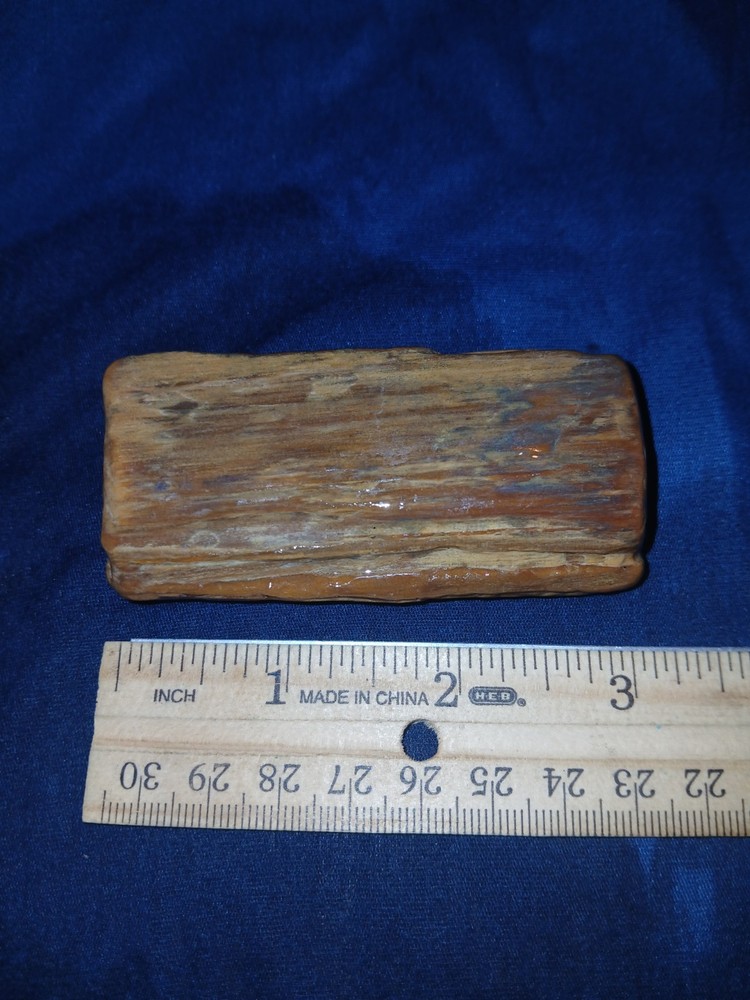4.5 oz Agatized Petrified Wood