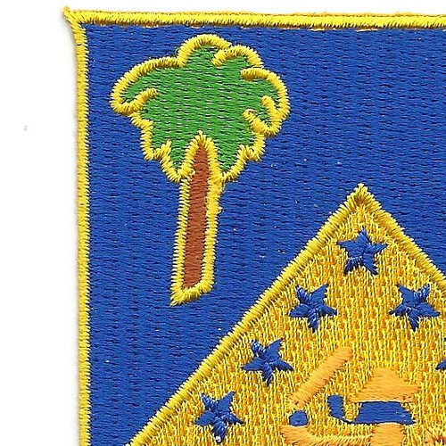 125th Infantry Regiment Patch