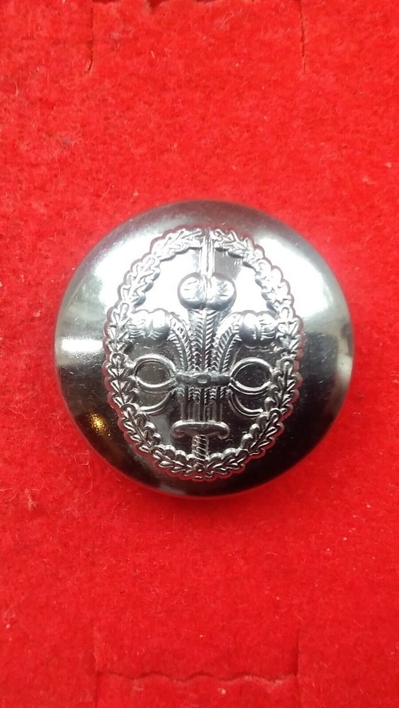 CHESHIRE CONSTABULARY CHROME BUTTON 23MM.