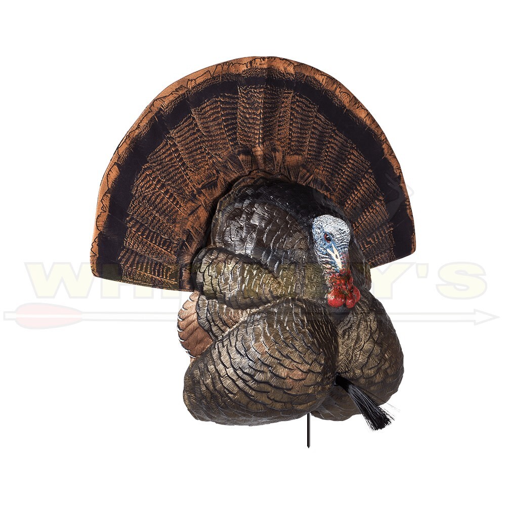 Flextone Thunder Creeper Tom Decoy (Strutter) - FLXDY316