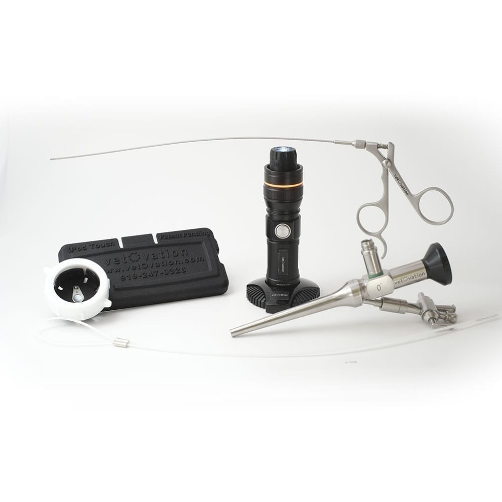 Veterinary Video Otoscope System