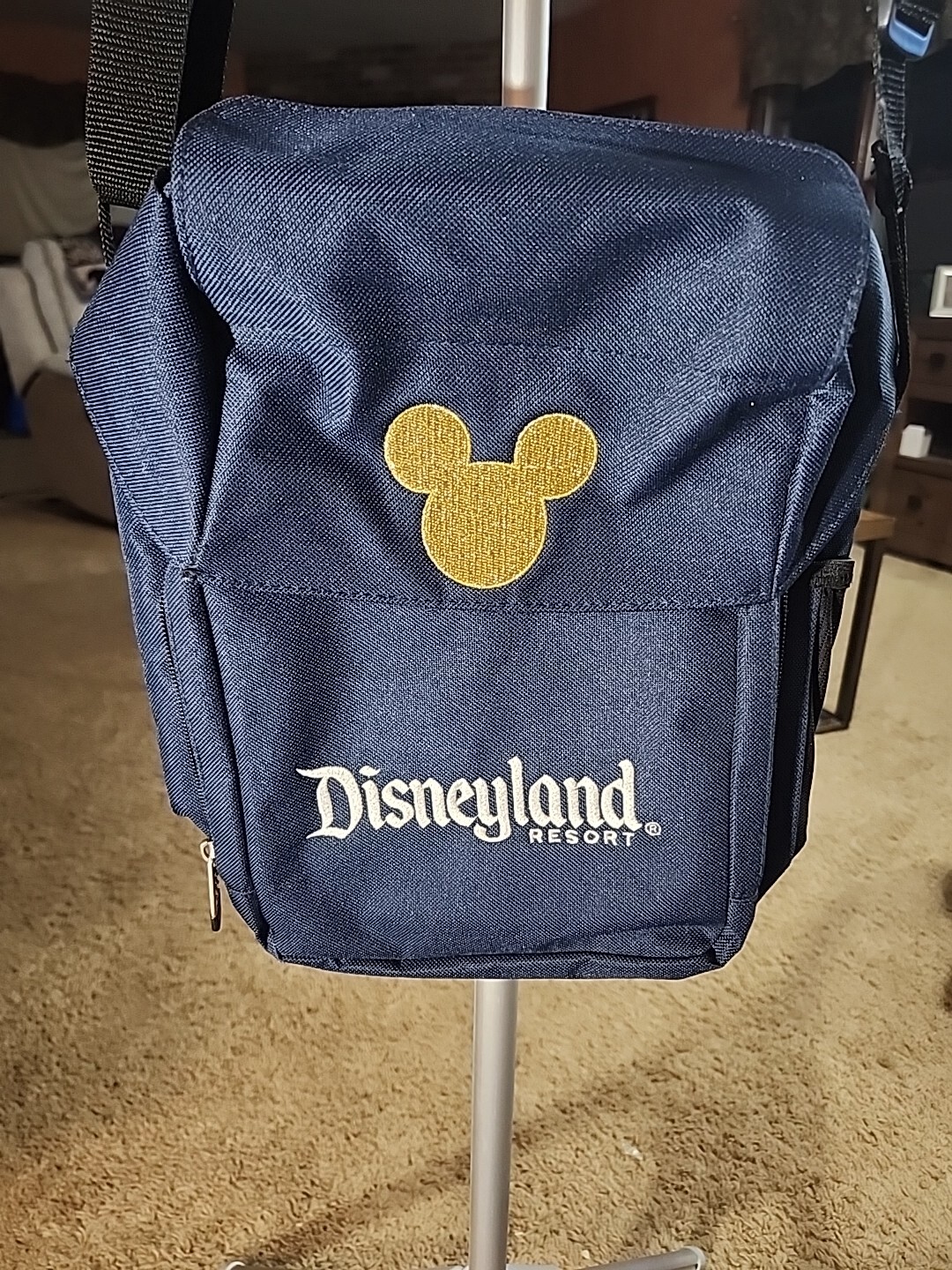 Disneyland Crossbody Bag Blue 12" x 9" x 4" Vacation Organize