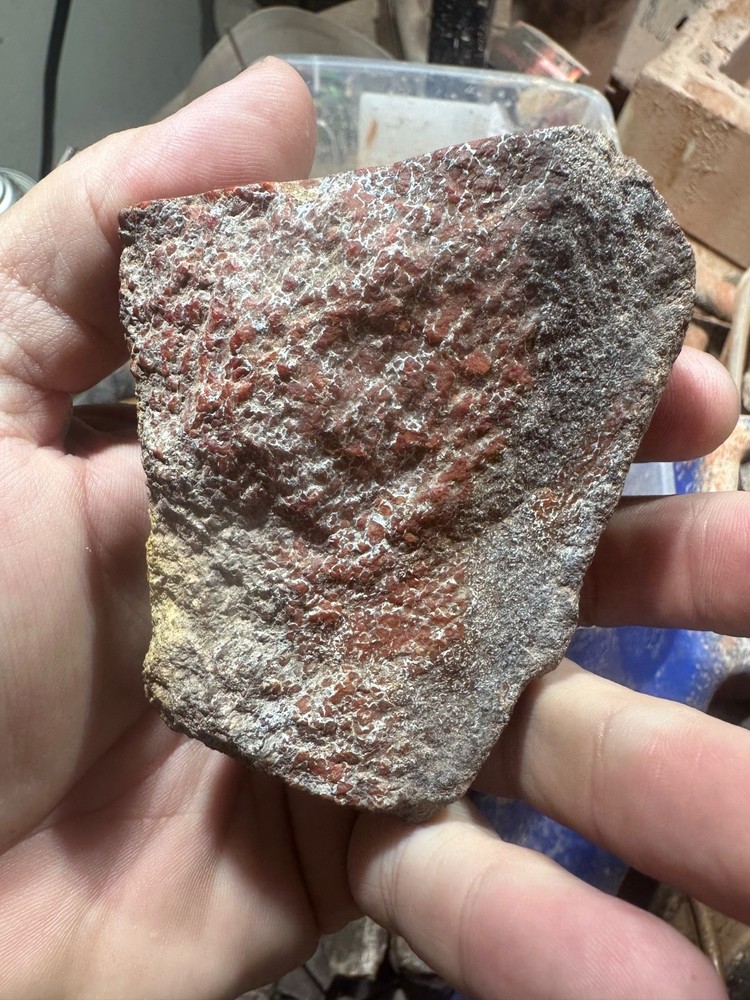 Dinosaur bone rough polished specimen