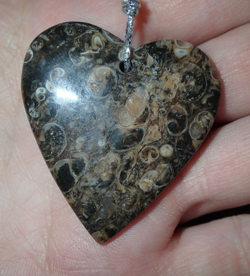 Fossil Turritella Agate Heart Bead Pendant