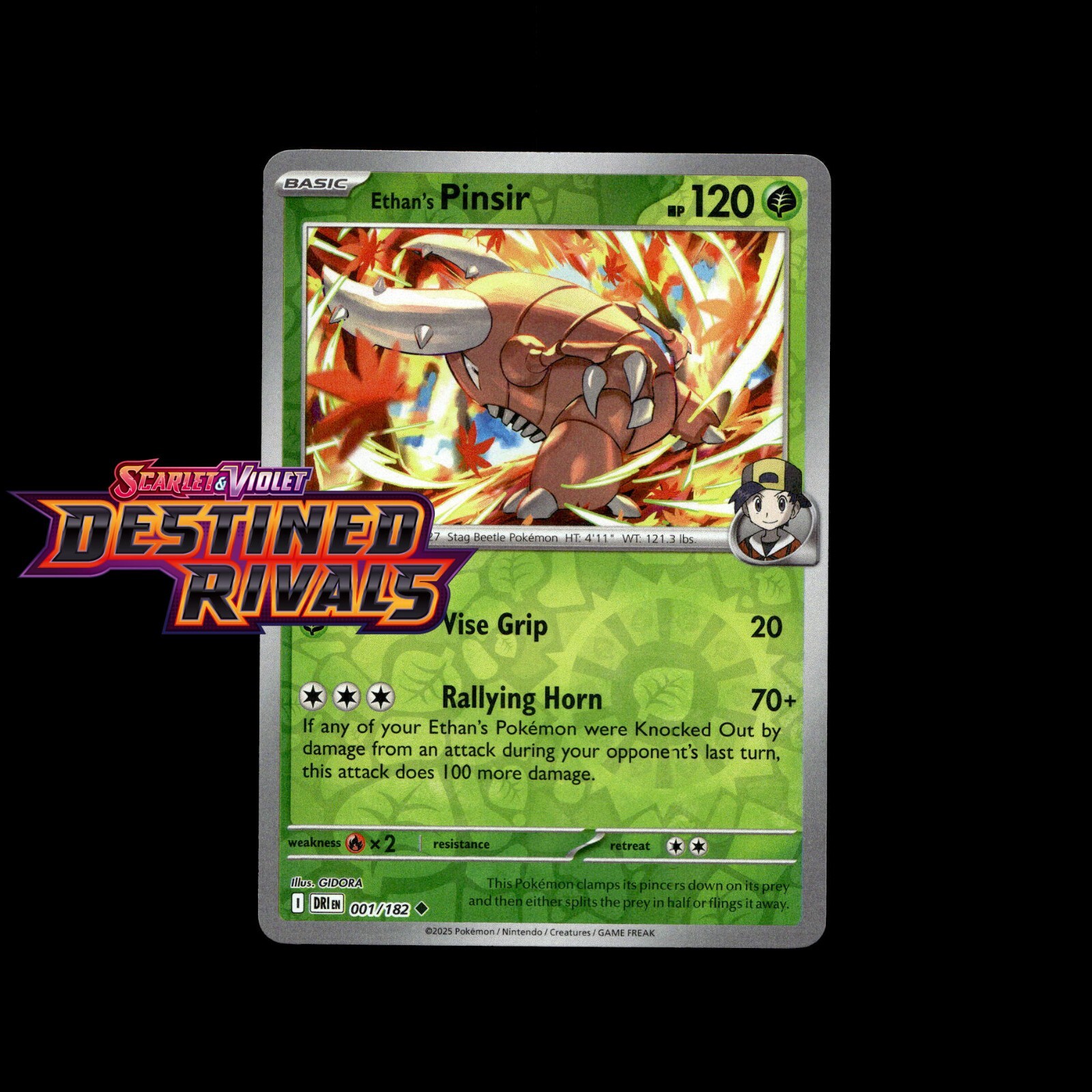 Pokemon Cards! Destined Rivals Holo/Reverse Holo EX Ultra Rare SIR Full Art Card