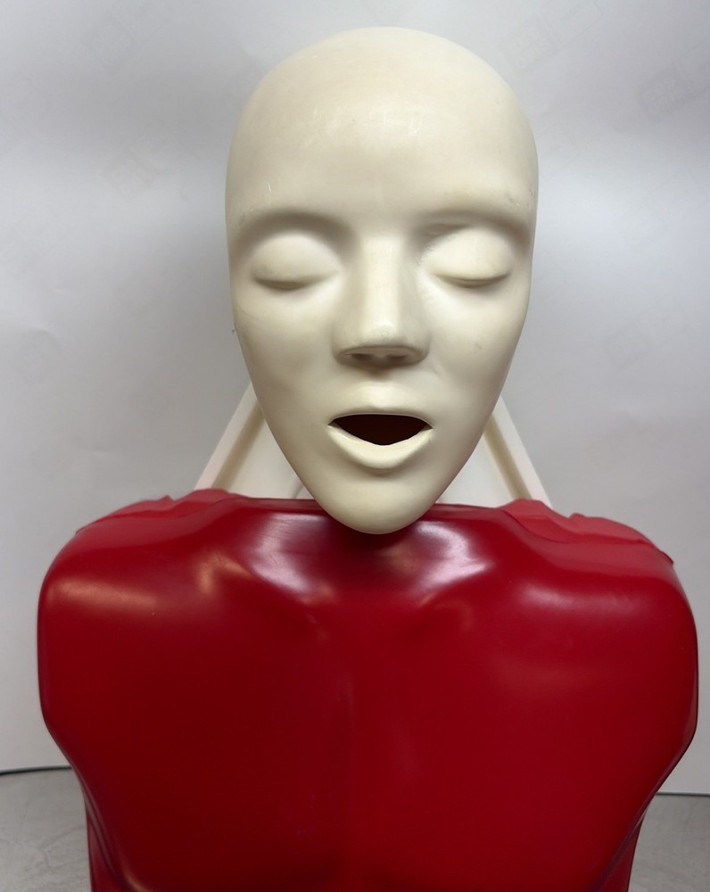 Lifeform Nasco Basic Buddy CPR Training Adult