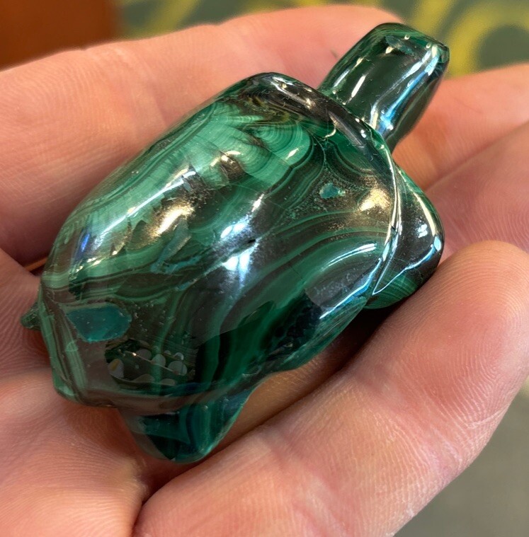 2” Malachite Turtle