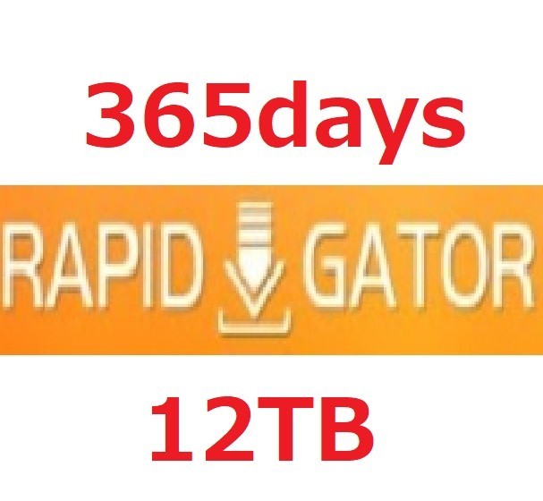 Rapidgator 365日 12TB