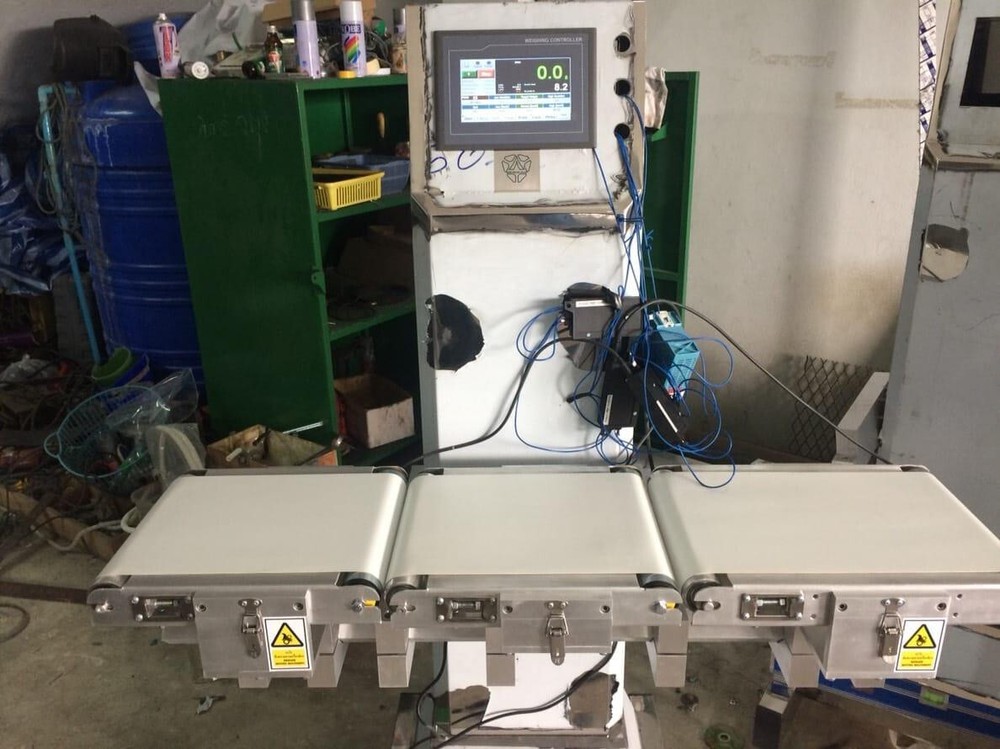 Automatic Check Weigher Controller for Check Weigher Scale, Digital weight check