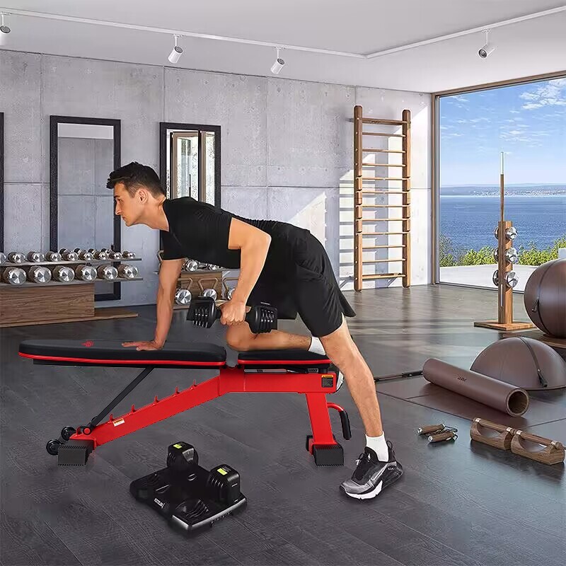 Adjustable Weight Dumbbell Bench Incline Decline Workout Exercise 1000LBS