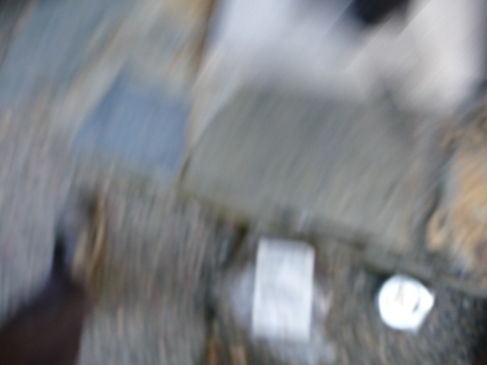 AMERICAN OPTICAL UNIVERSAL ILLUMINATOR LIGHT SOURCE MODEL #359 WORKS