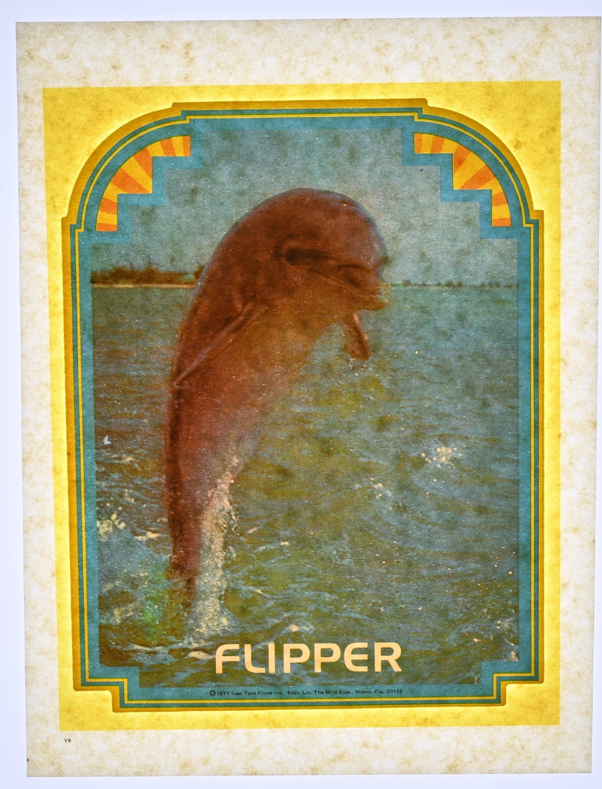 Original VINTAGE 1970s Heat Transfer | Flipper (poster graphic)