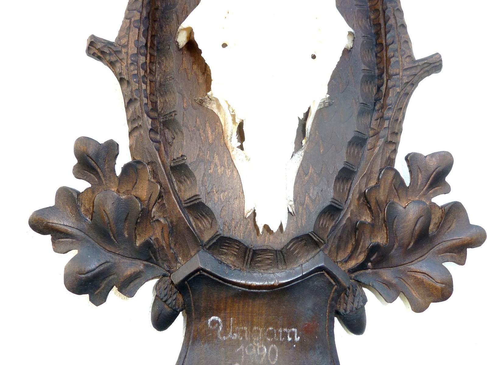 17" HUGE HEAVY ** 1990** DATED SUPERB BLACK FOREST CARVED ROE DEER ANTLERS MOUNT