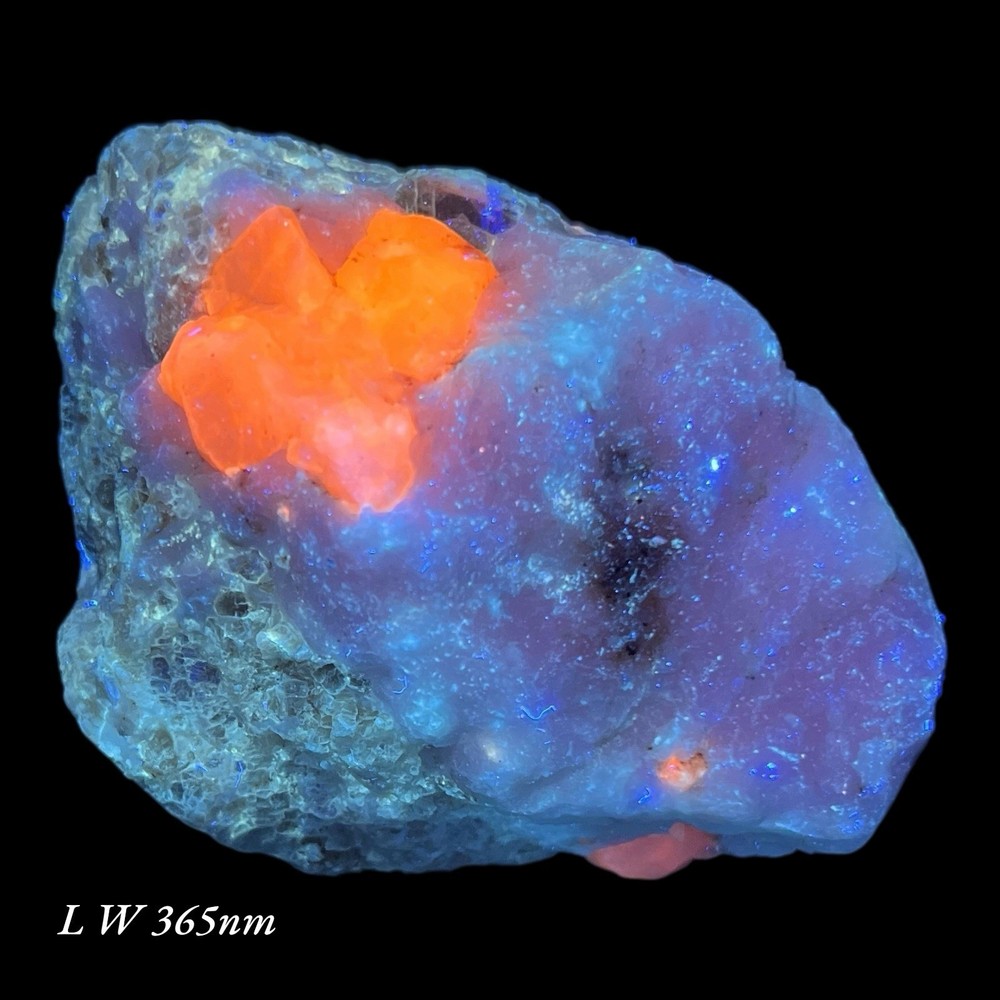 286 Hackmanite with Phlogopite, Fluorapatite and Calcite